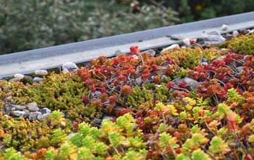the cost of Everleigh green roof installation
