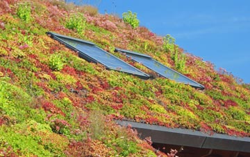 Everleigh living roof systems