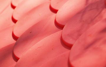 Everleigh plastic roof costs