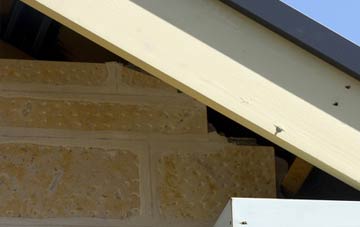 soffit repair Everleigh